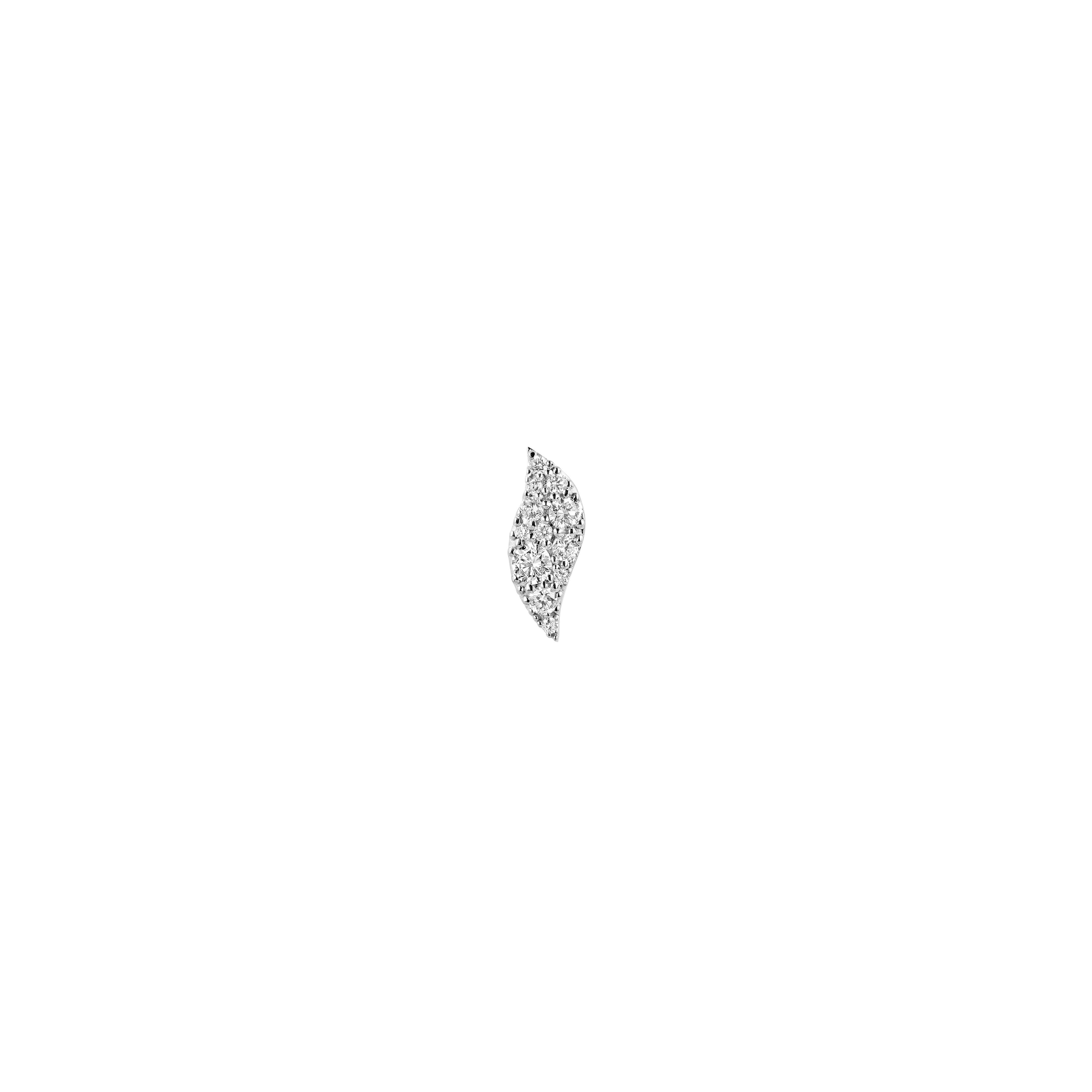 Douce - Image 2