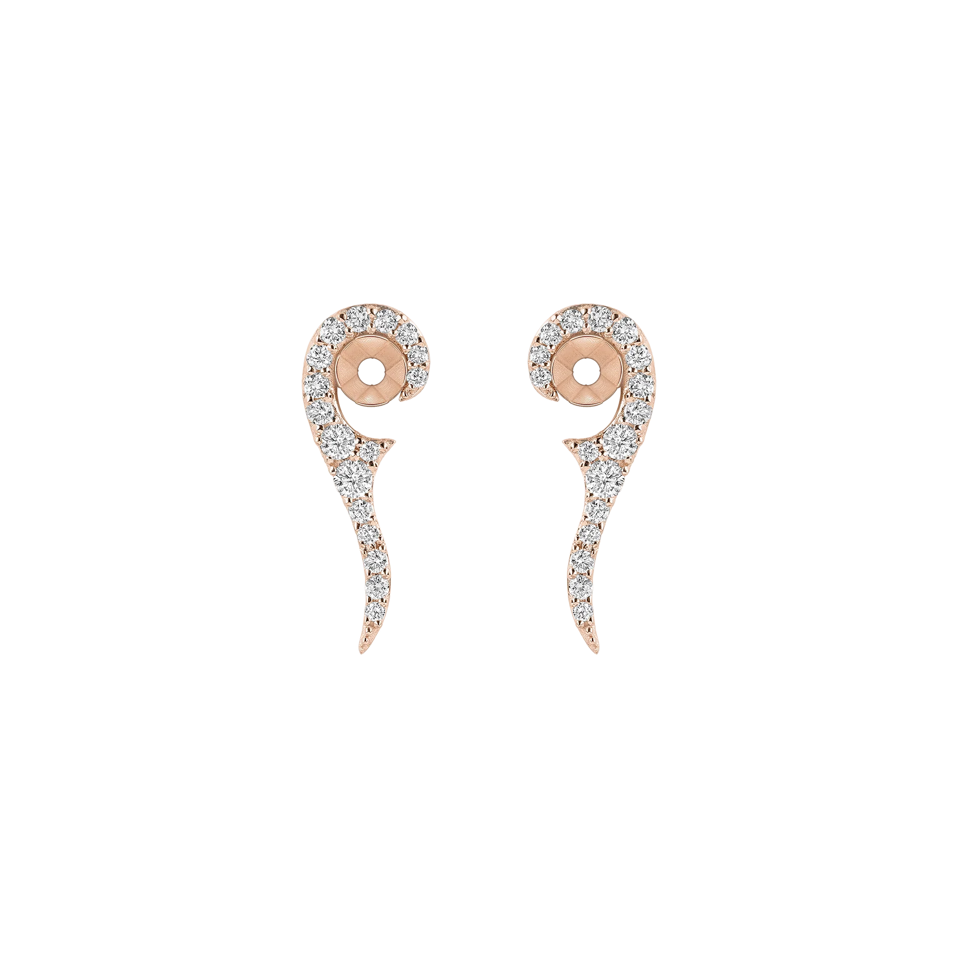 Sauvage - Image 9